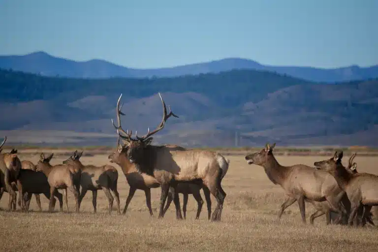 The Retreat at Silvies Valley Ranch photo 7