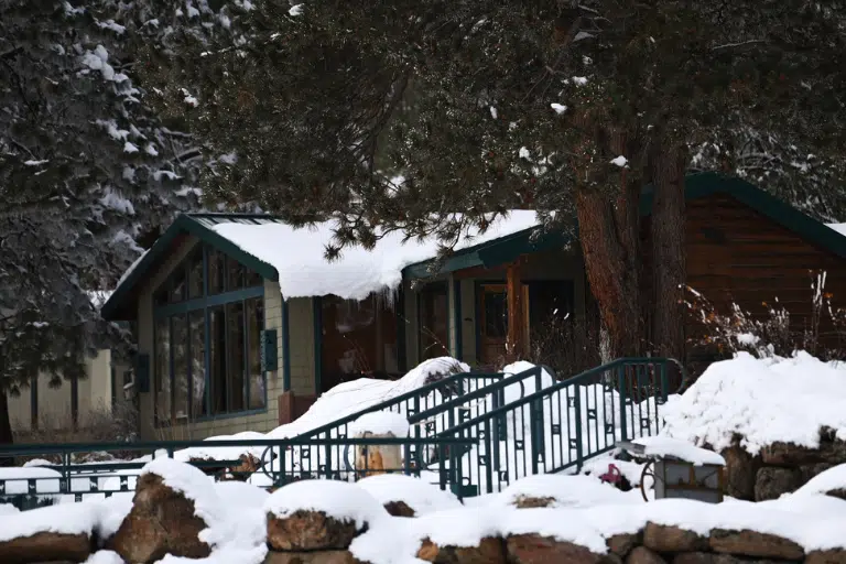 Winter Cabin Daytime