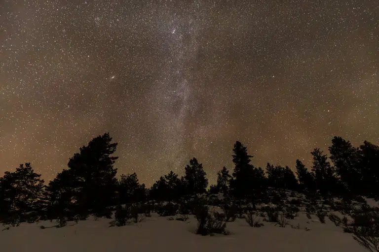 View of the stars on a winter night